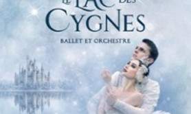 Le Lac des Cygnes - Ballet & Orchestre - Tournée 2027
