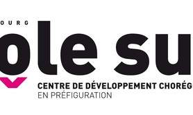 Pôle sud