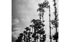Anne Affortit - Stage Photo Avignon 