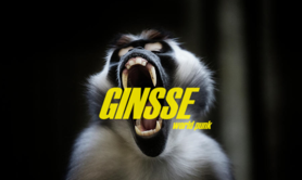 GINSSE - Duo World-Punk