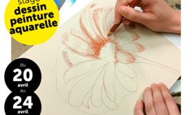 Stage vacances de Pâques / Dessin - Peinture