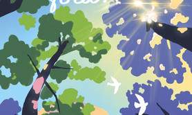 Le festival Les Nuits des Forêts revient partout en France