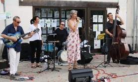 PIOU - Groupe Jazzy, blues, rock acoustique