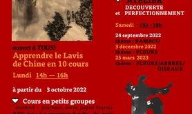 Zhycheng Wu - Le lavis de Chine en 10 leçons 