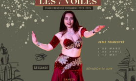 association Les 7 Voiles - Cours et stages de danses orientales & fusions