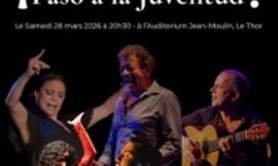 Noche de Arte Flamenco