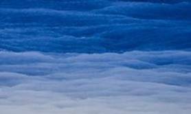 Pauline Bureau - Entre parenthèses