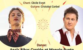 spectacle Sunday Flamenco