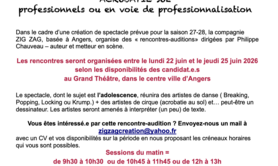Audition danseurs hip hop et circassiens