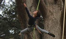 Cie 4 à Corps - Spectacles aériens