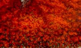 Hélène Fuhs  - Cour de dessin et peinture 