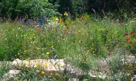 Jardin du naturaliste