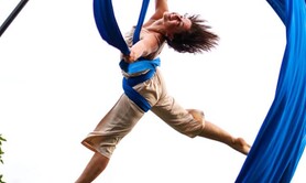 Les Arts du CIRQUE production - Show aérien Portique et Déambulation féerique