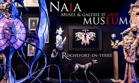 Naïa Museum - Musée des Arts de l'imaginaire fantastique