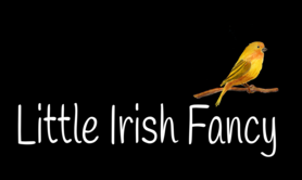 Little Irish Fancy - Duo de Musique Irlandaise