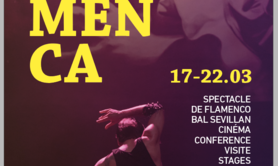 Rencontres Albi Flamenca