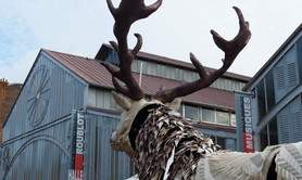 Stagiaire en communication