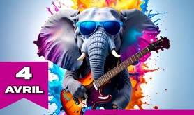 FOLLIES ON THE ROCK(S)