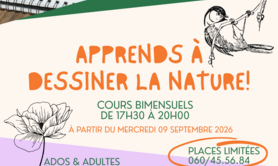 Jacques Blavier - Apprends à dessiner la nature !