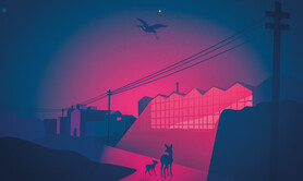 Habiter les nuits