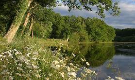 L'Etang de la Benette