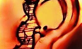 Carole Tocah - Musiques et Voix Hors Cadres