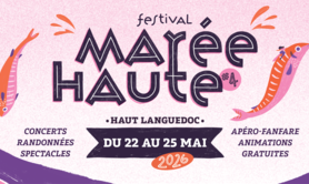 Festival Marée Haute #4