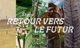 Stage : Retour vers le futur