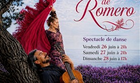 Flamenco : Flor de Romero