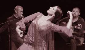 cours et stages de flamenco