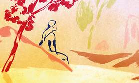 IL - WE formation du regard