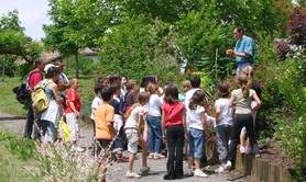 Le Jardin buissonnier