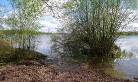 Parc Naturel Départemental - L'étang du puits