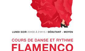 La Clemen - Cours de Flamenco - niveau débutant ou moyen