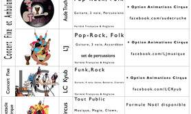 vendeemusique.fr - Groupes de Musique Pop, Rock, Folk, Funk, Variété + Cirque 