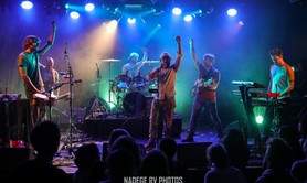 The Fanatiks - Concert reggae