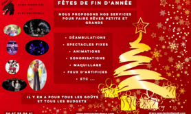 Draco spectacles  - Animation et Spectacles pour les fêtes de fin d'année
