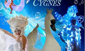 CIE MASKARADE - PARADE LUMINEUSE