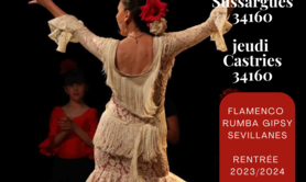 llamas flamenca's - Flamenco rumba animation spectacle gipsy flamenco