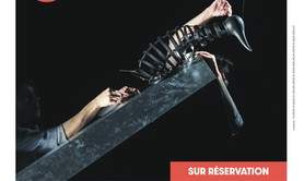 Le complexe du pingouin