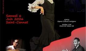 SPECTACLE DE FLAMEMNCO