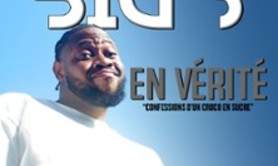 Big S - En Vérité - Tournée