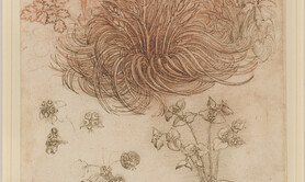Léonard De Vinci et la Nature