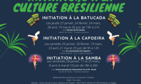 R.L.J Association De Capoeira -    