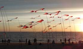 Alain Micquiaux  - Cerf-volant d'art