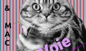 Jk & Mac + - Concert de Pop Fusion