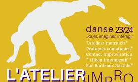 association Hibou Intempestif - Improvisation Contact Improvisation