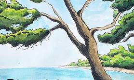 Stage carnet de voyage aux îles de Lérins 