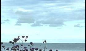 Beatrice Bertho Auteure  - Atelier d'écriture la prose et la poésie