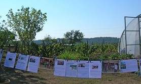 Jardin camerounais du Périgord